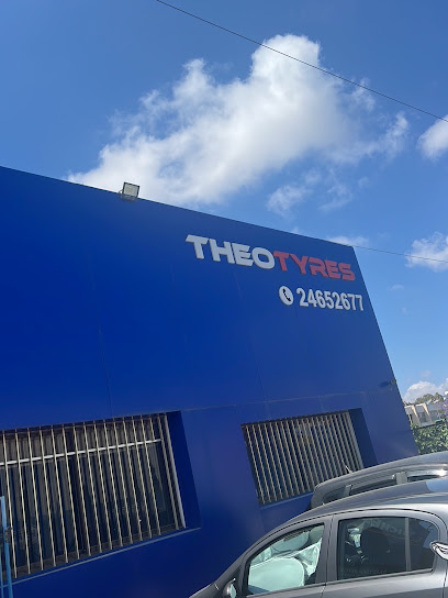 Theotyres photo 1