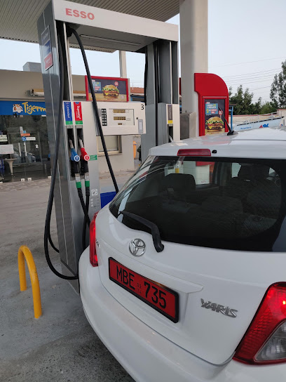 Esso Fuel Station photo 1