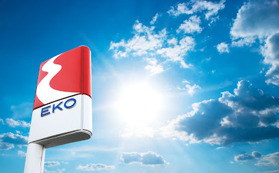 EKO photo 1