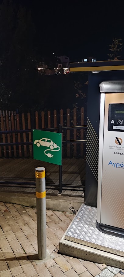 Electric Vehicle Charging Station photo 1
